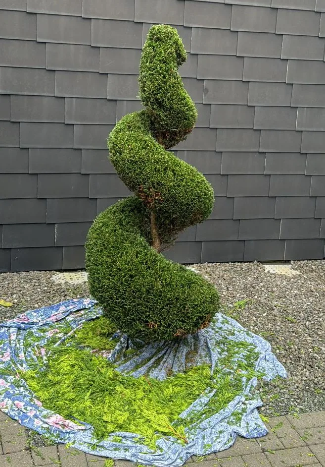 Fachgerechte Gartenarbeit durch Sijak Gartenpflege