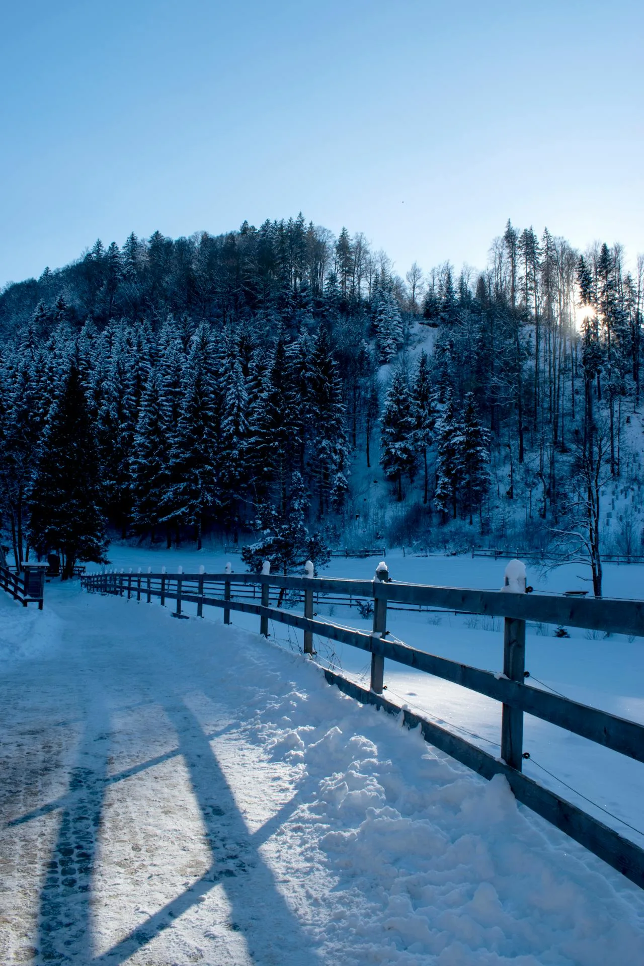 Winterdienst und Räumdienst